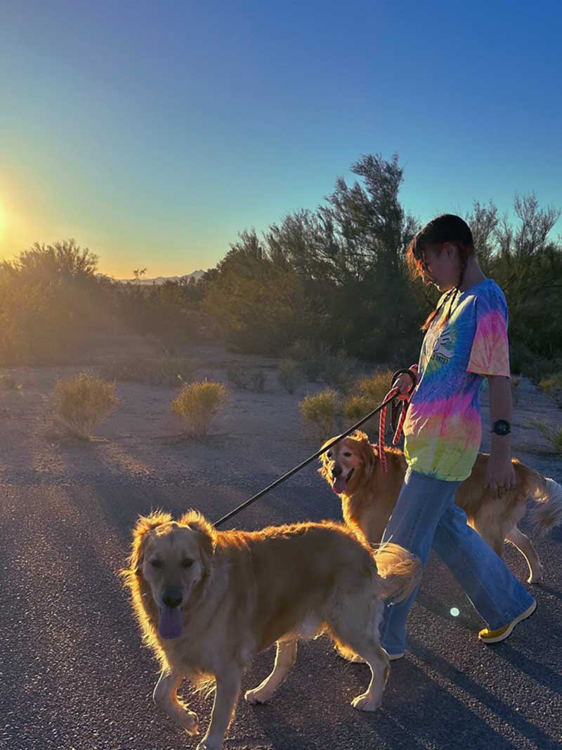 walking dogs