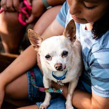 Donate 21 GirlAndSmallDog Copy