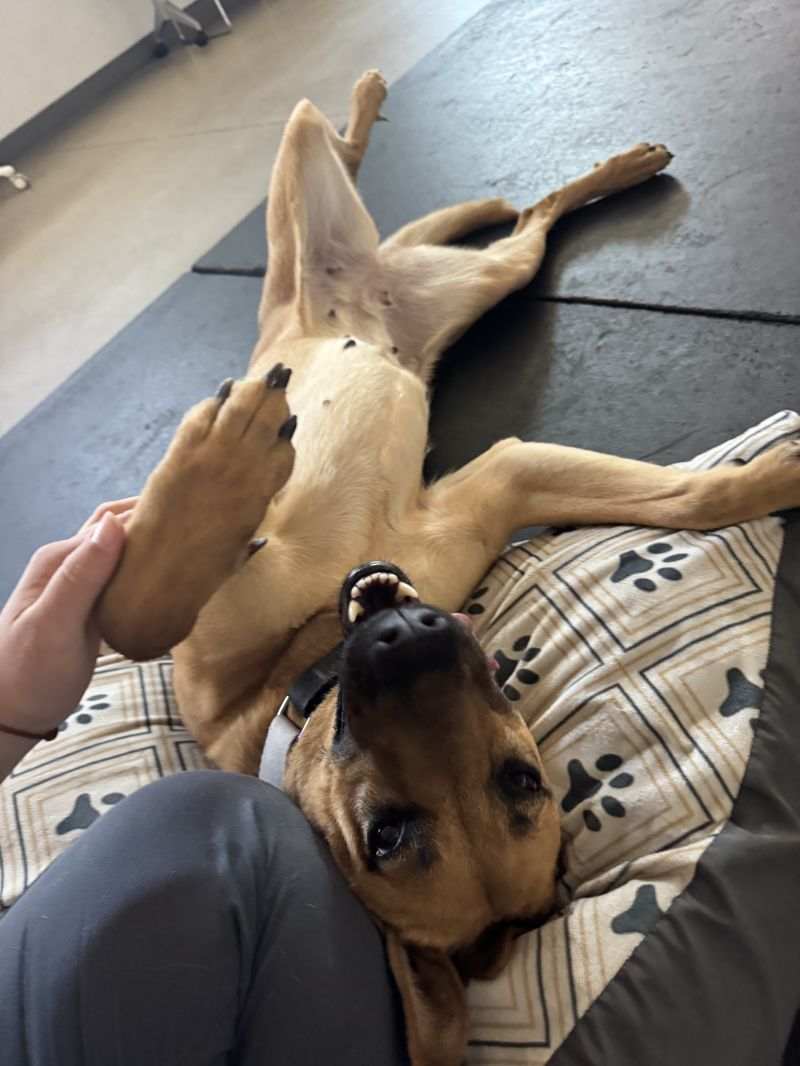 Sadie