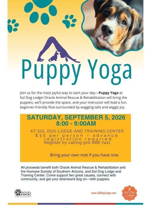 Puppy Yoga 