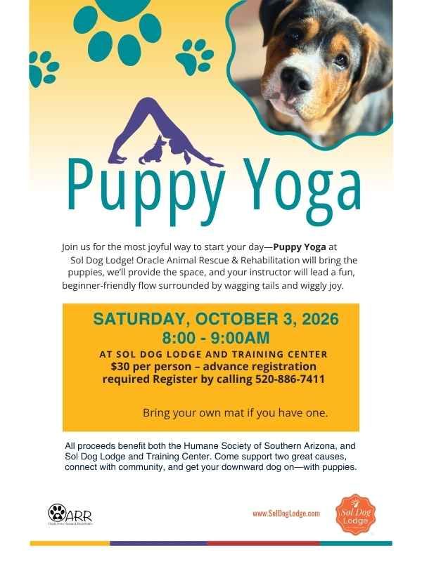 News + Events 1 Puppy Yoga Oct