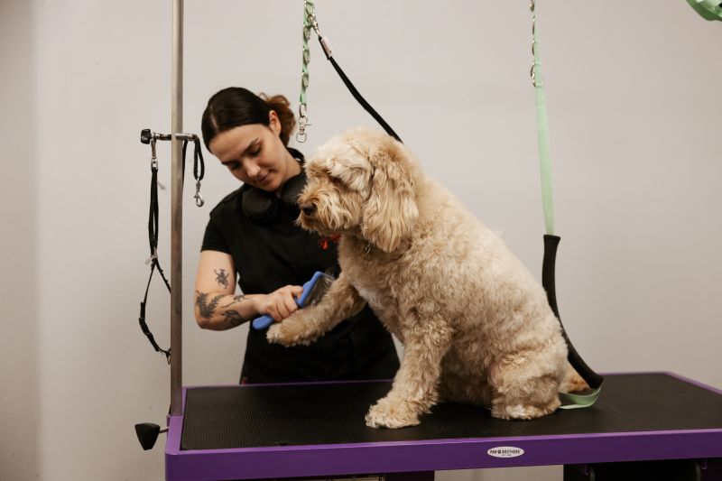 Grooming