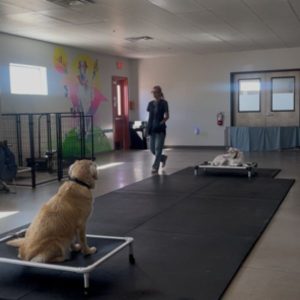 Training