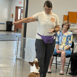 puppy training